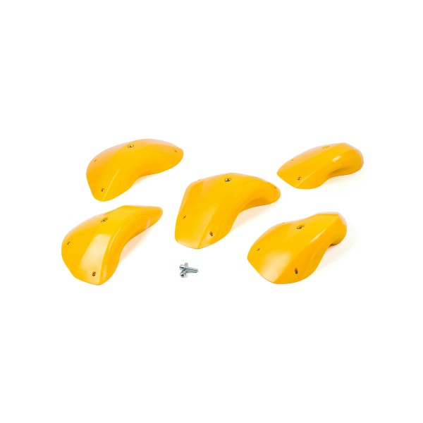 Foxes - Positive Edges XXL 1