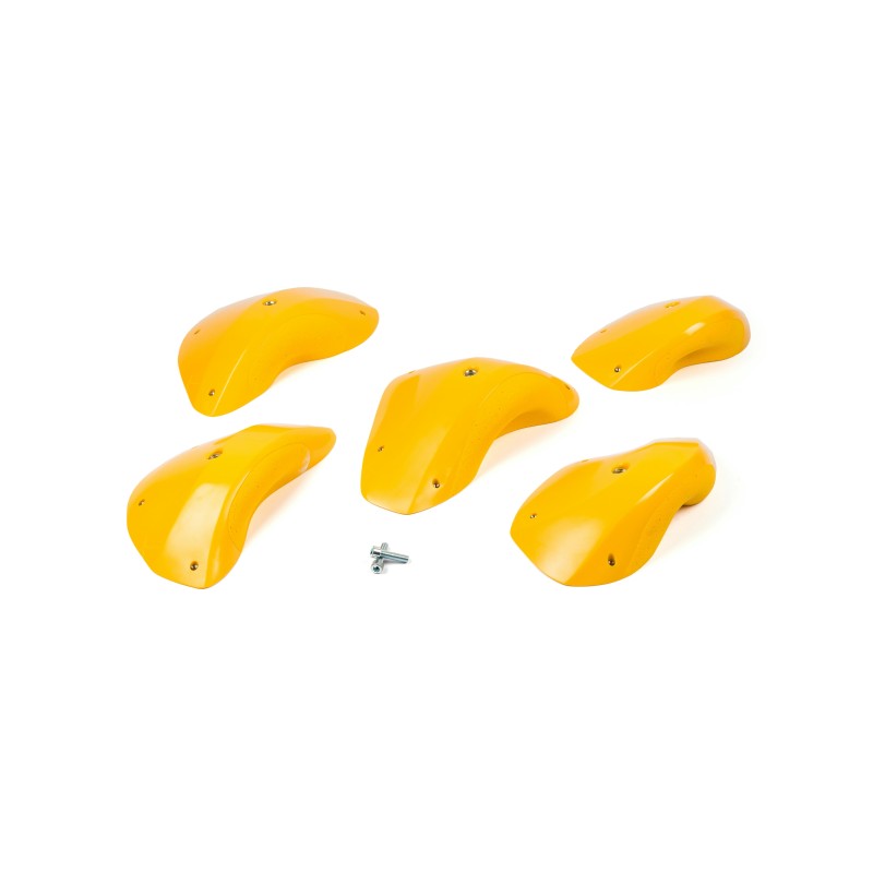 Foxes - Positive Edges XXL 1