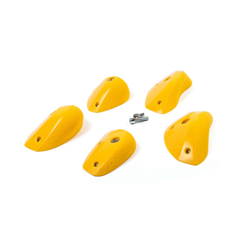 Foxes - Round Edges L3