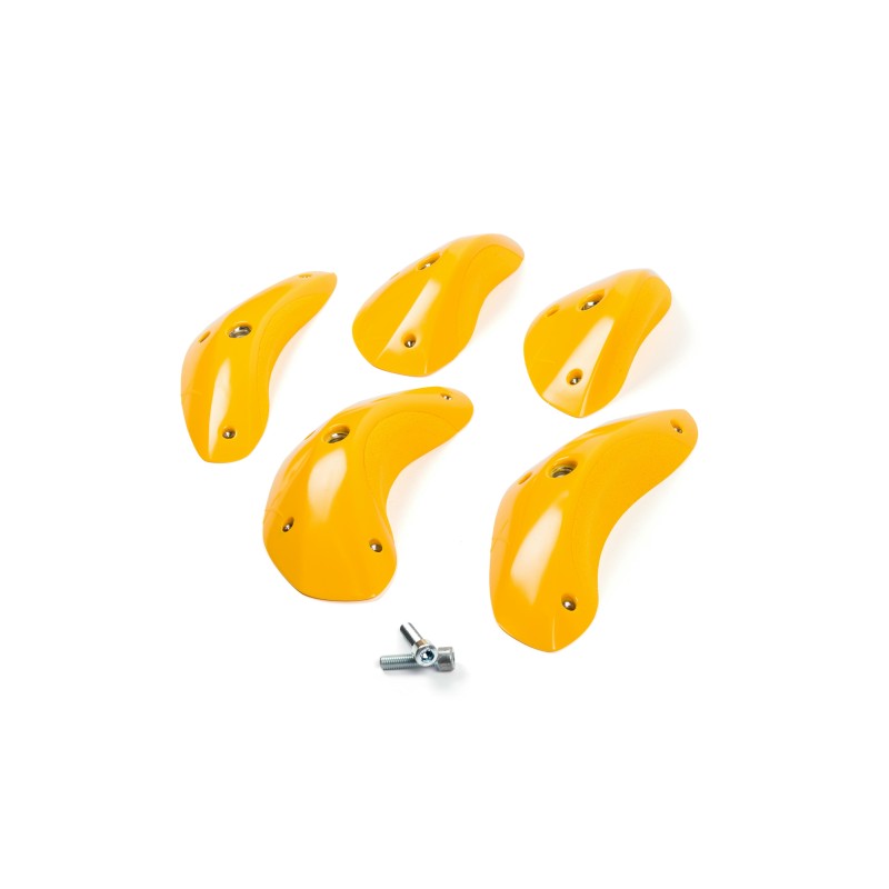 Foxes - Round Edges L4