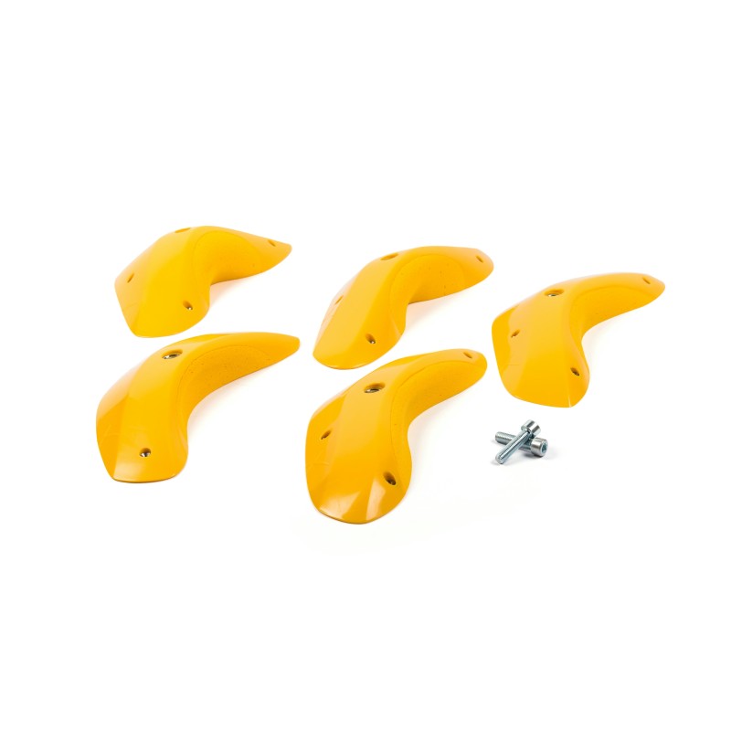 Foxes - Round Edges XL 1