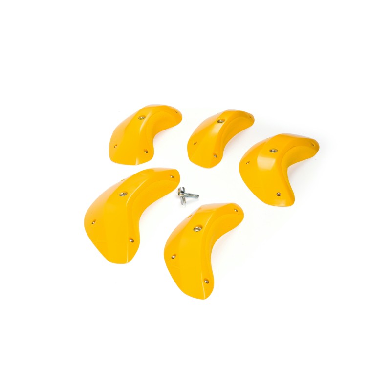 Foxes - Round Edges XL 2