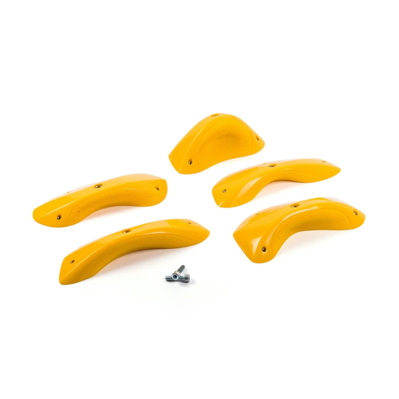 Foxes - Round Edges XL 3