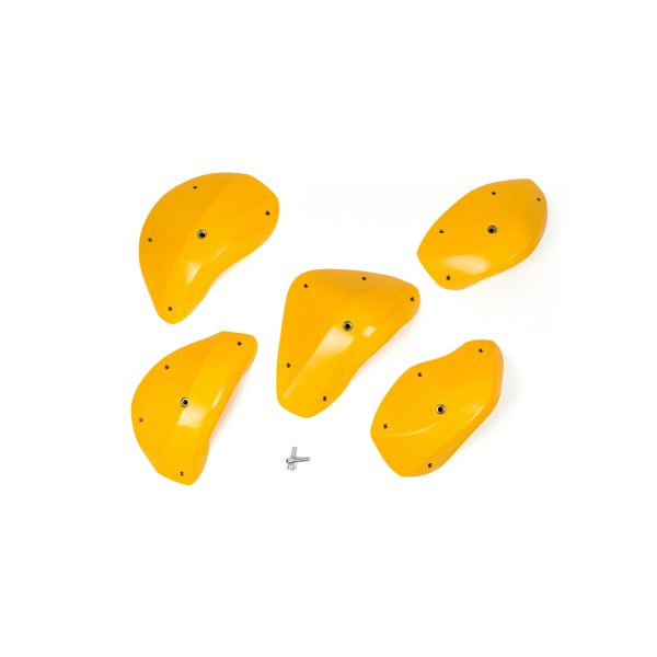 Foxes - Positive Edges XXL 1 2