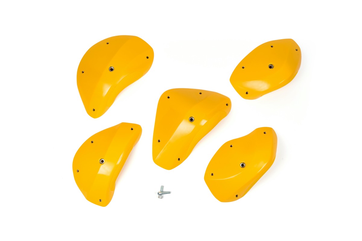 Foxes - Positive Edges XXL 1