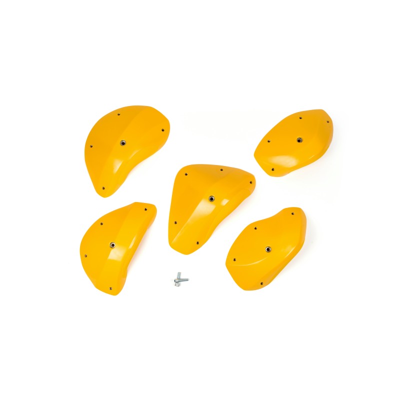 Foxes - Positive Edges XXL 1