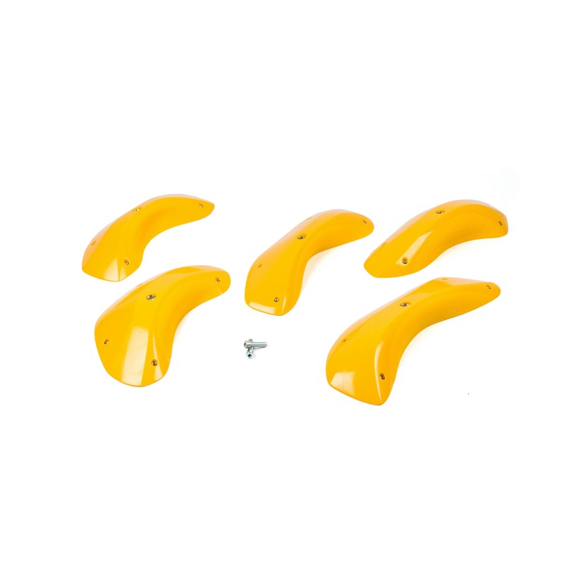 Foxes - Round Edges XXL 2