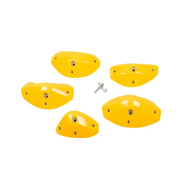 Foxes - Round Edges L2 2