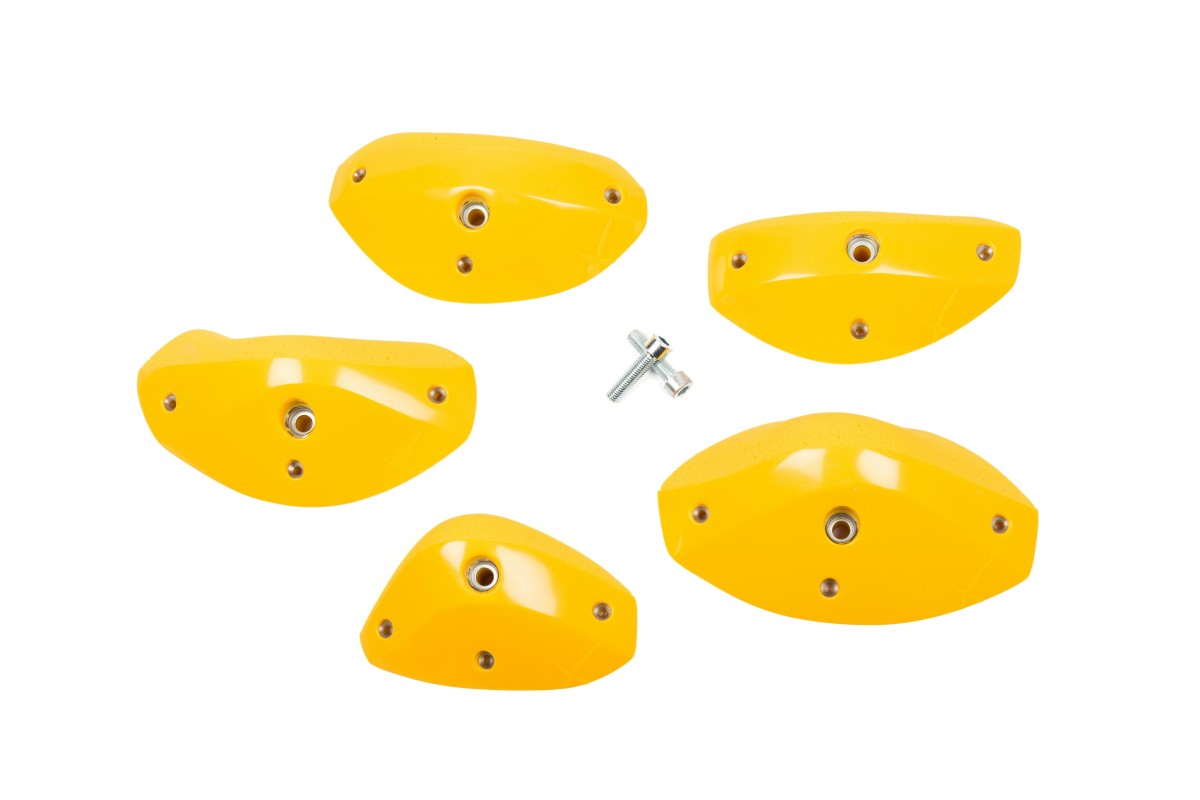 Foxes - Round Edges L2