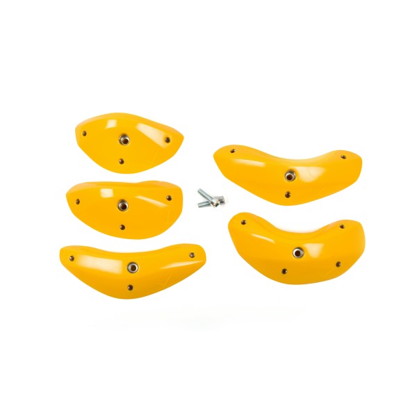 Foxes - Round Edges L4 2