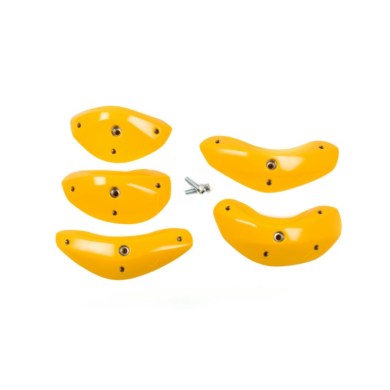 Foxes - Round Edges L4