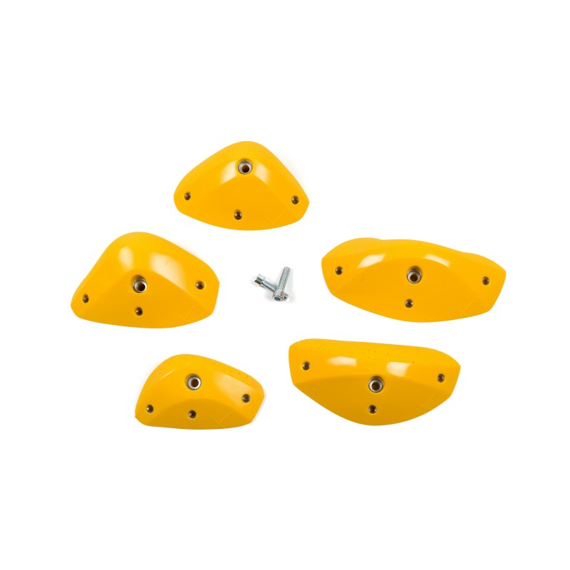 Foxes - Round Edges L3