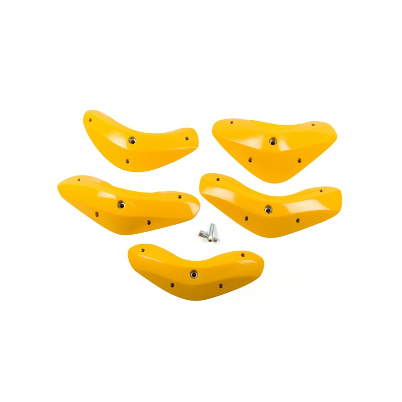 Foxes - Round Edges XL 1