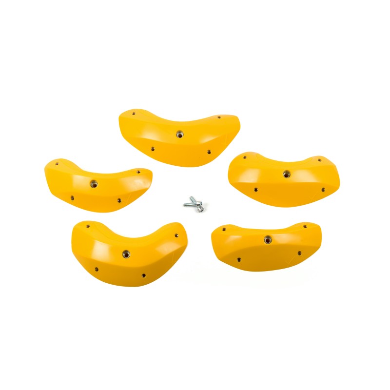 Foxes - Round Edges XL 2