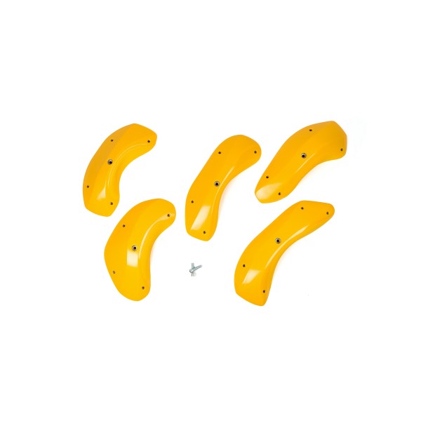 Foxes - Round Edges XXL 2 2