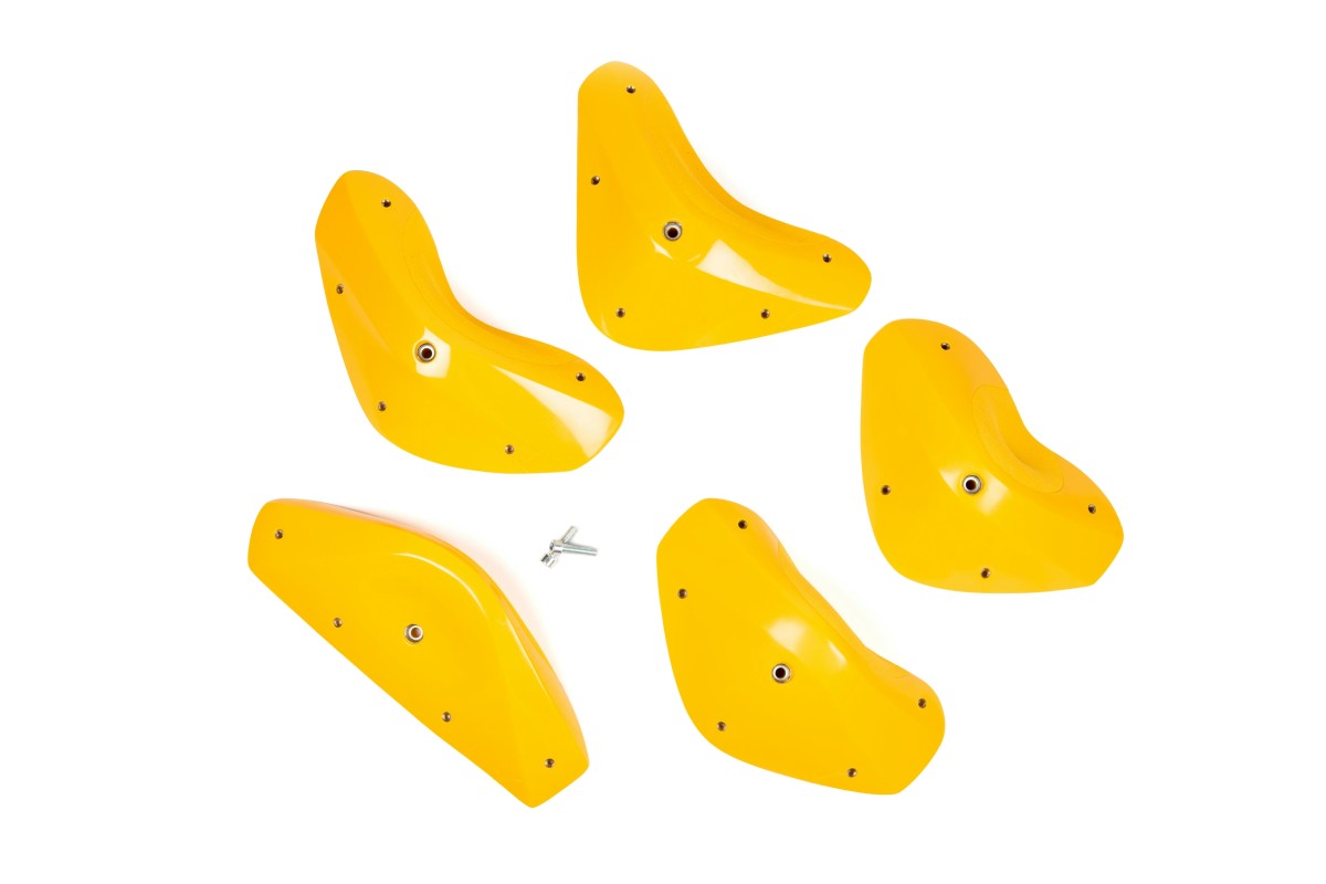 Foxes - Round Edges XXL 4