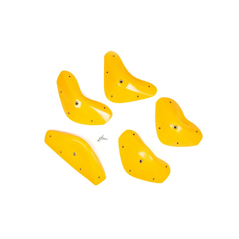 Foxes - Round Edges XXL 4