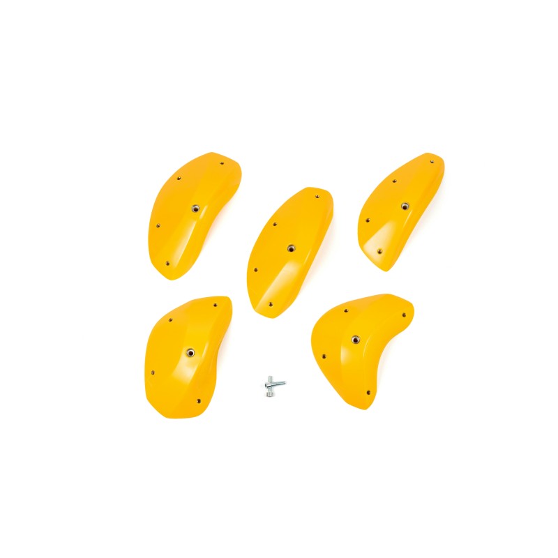 Foxes - Round Edges XXL 1