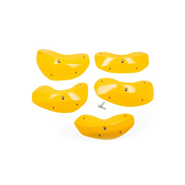 Foxes - Round Edges XXL 3 2