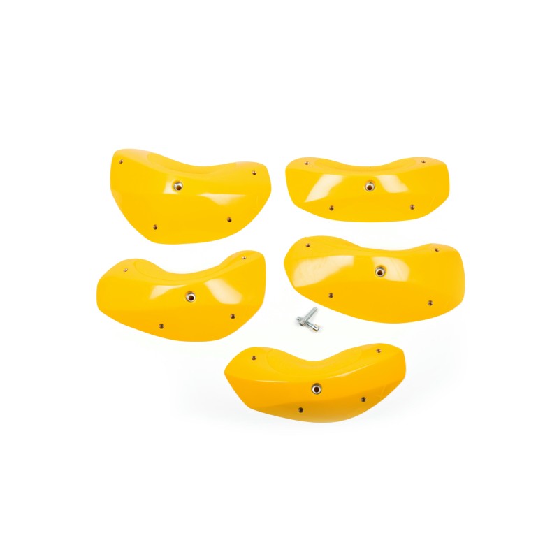 Foxes - Round Edges XXL 3