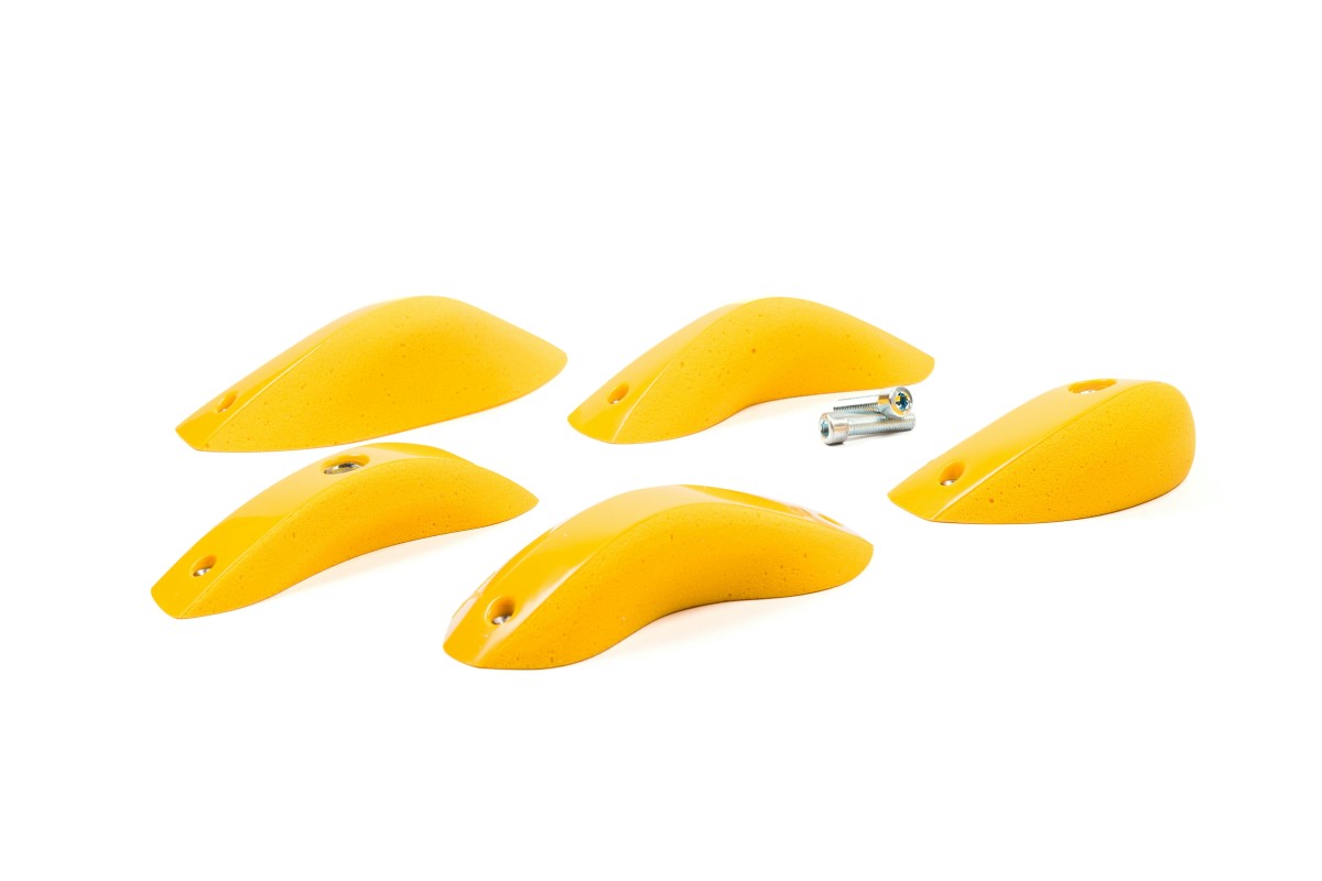 Foxes - Round Edges L2