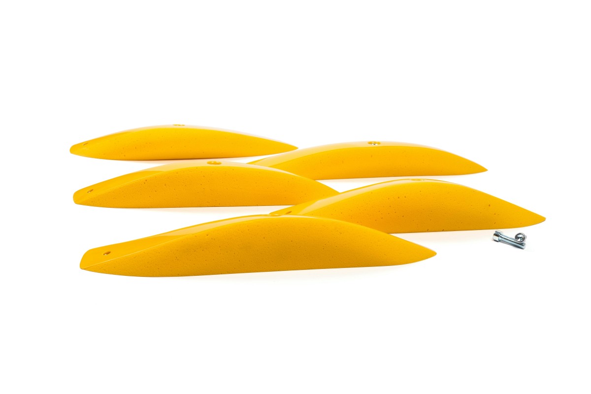 Foxes - Long Edges XXL 1