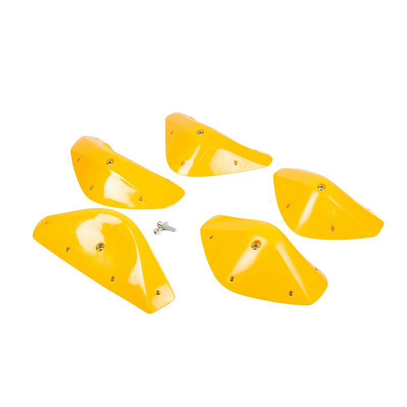 Foxes - Round Edges XXL 4