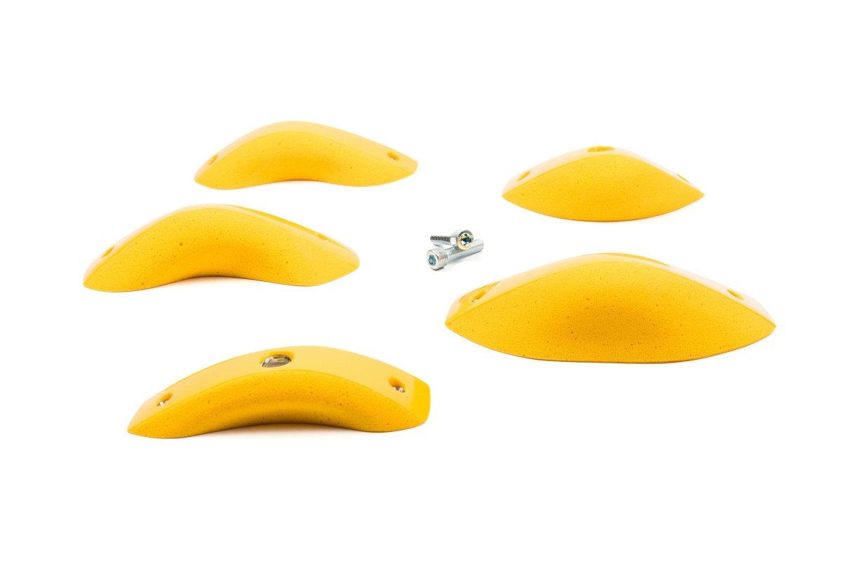 Foxes - Round Edges L2