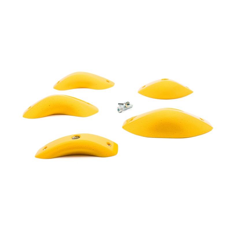 Foxes - Round Edges L2