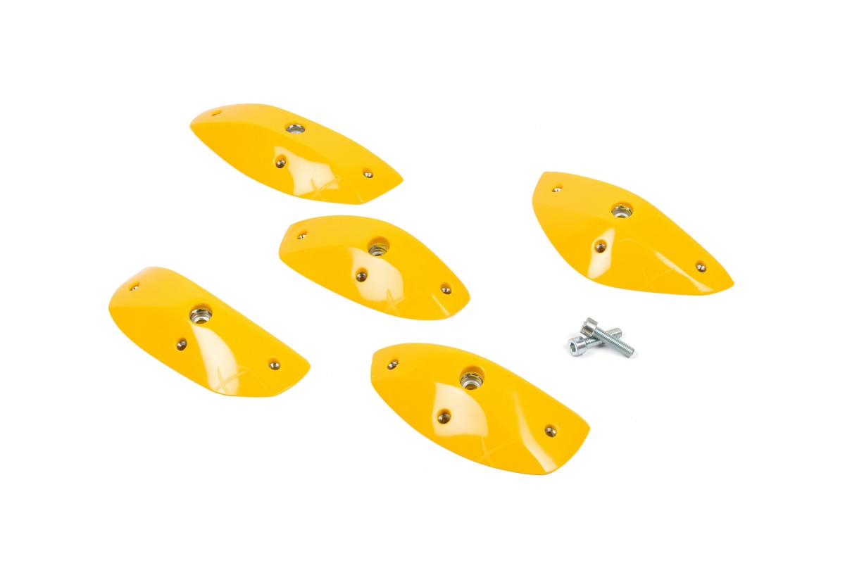 Foxes - Round Edges L1