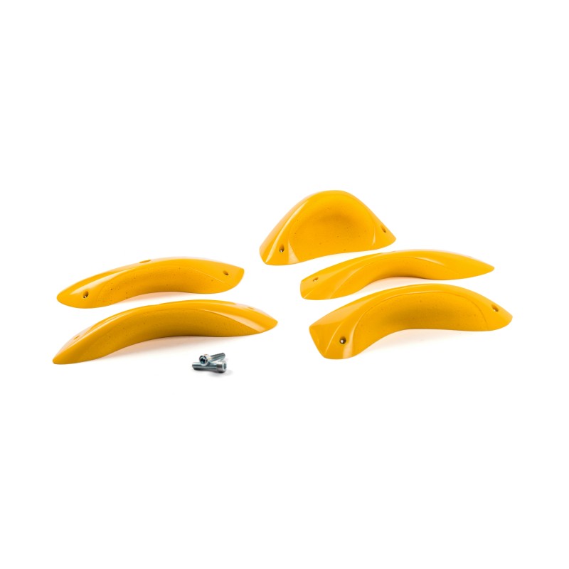 Foxes - Round Edges XL 3