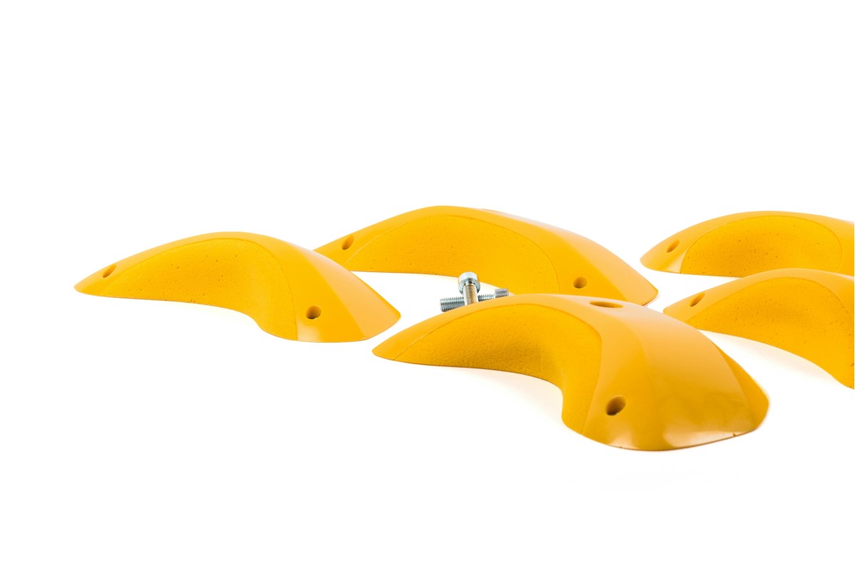 Foxes - Round Edges XL 2