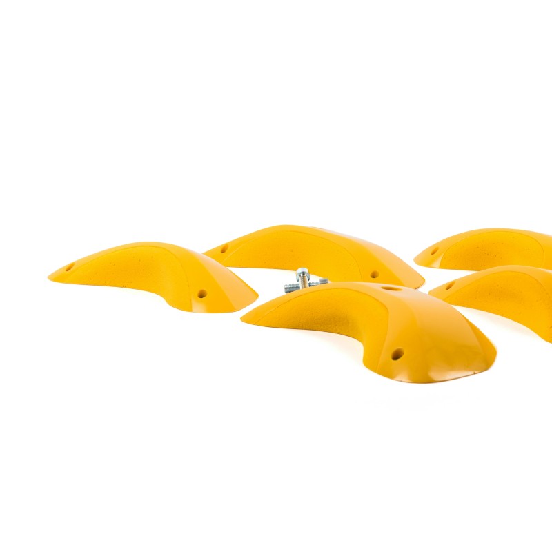 Foxes - Round Edges XL 2