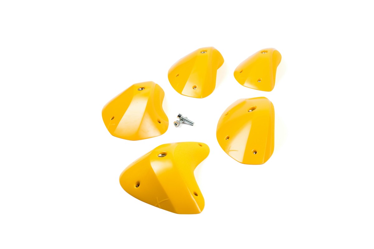 Foxes - Round Edges XXL 1