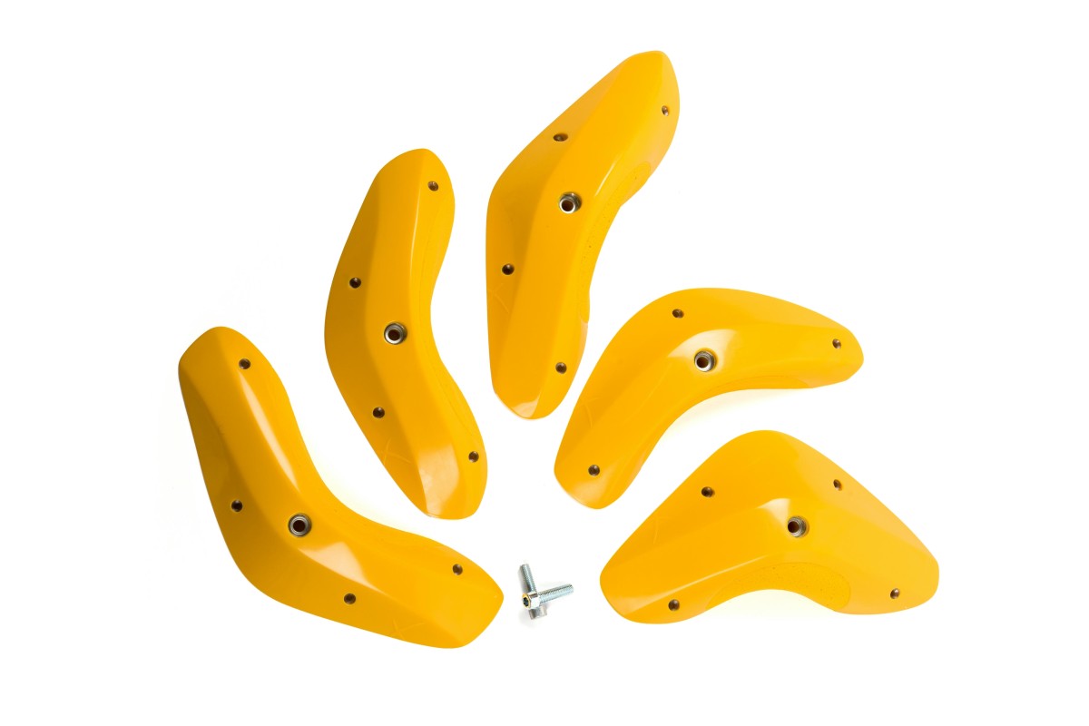 Foxes - Round Edges XL 1