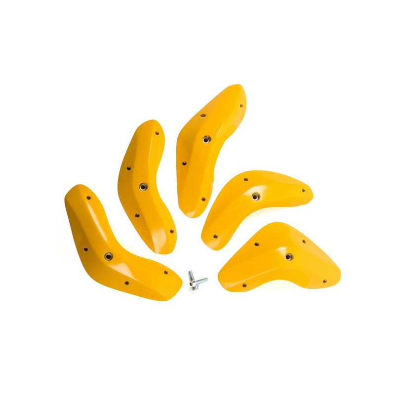 Foxes - Round Edges XL 1