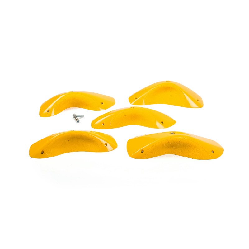 Foxes - Round Edges XXL 3