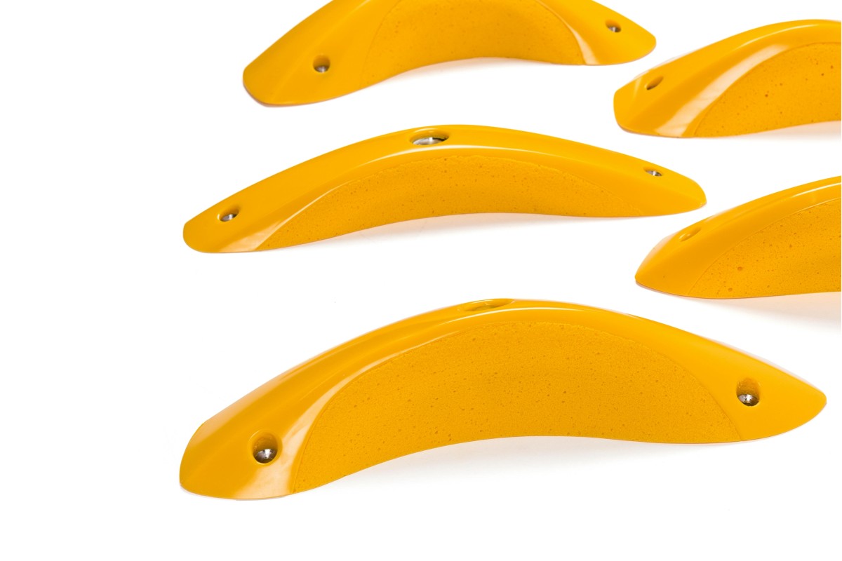 Foxes - Round Edges L4