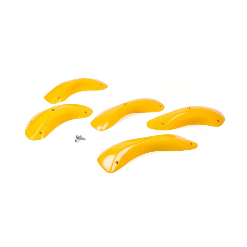 Foxes - Round Edges XXL 2