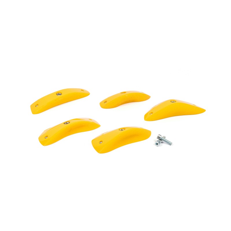 Foxes - Round Edges L1