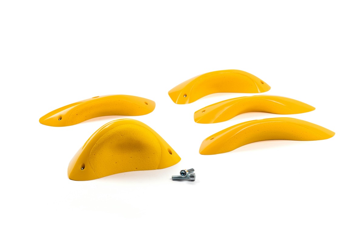 Foxes - Round Edges XL 3