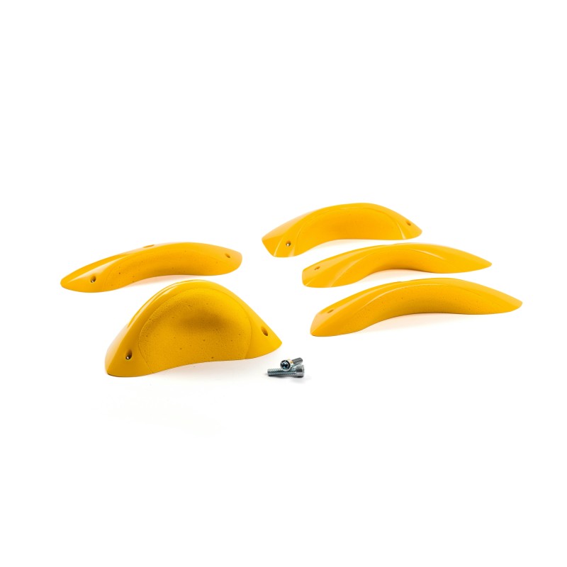 Foxes - Round Edges XL 3