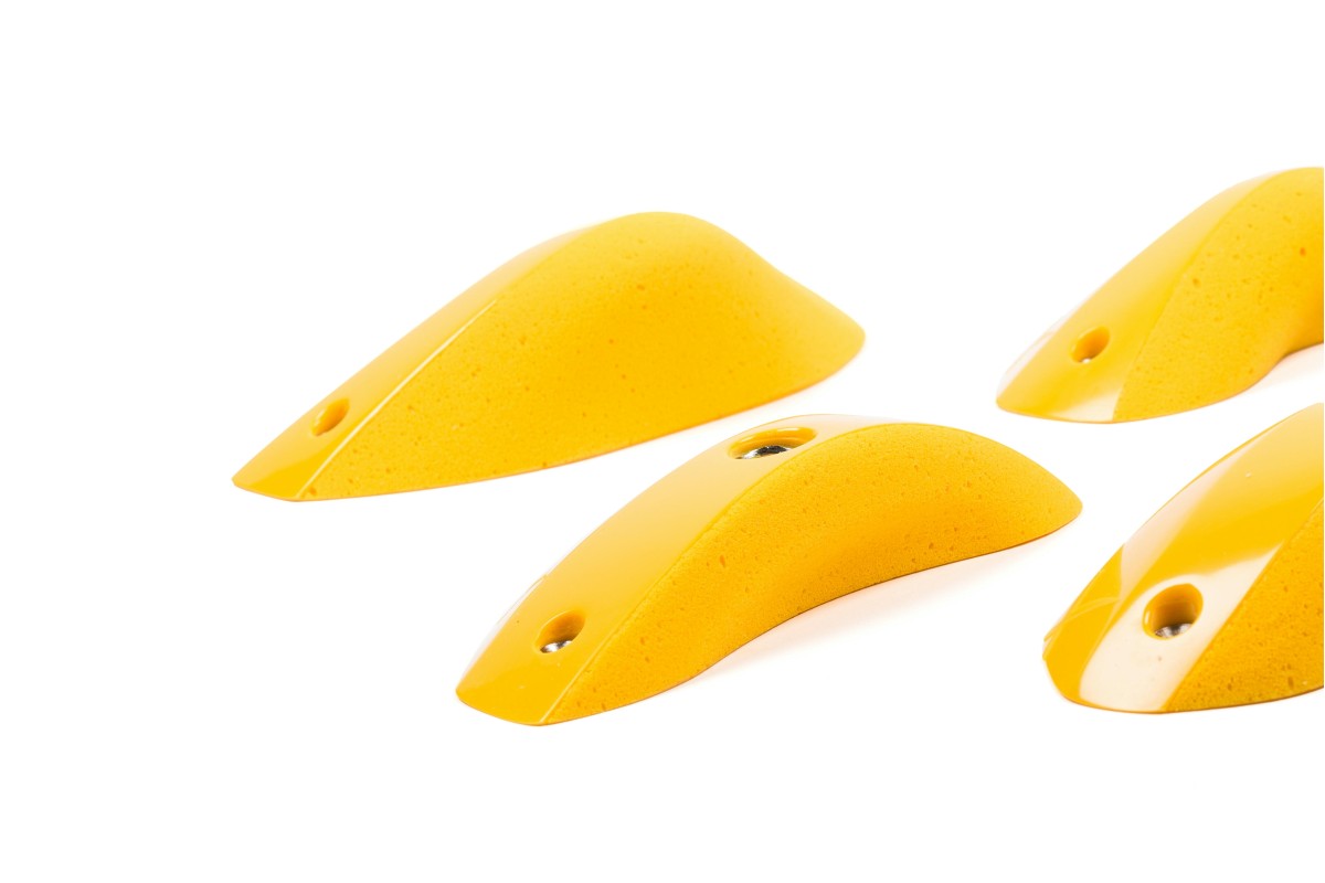 Foxes - Round Edges L2