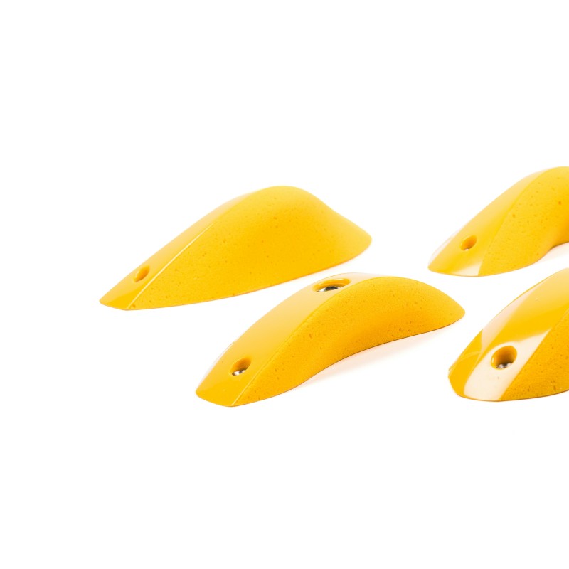 Foxes - Round Edges L2