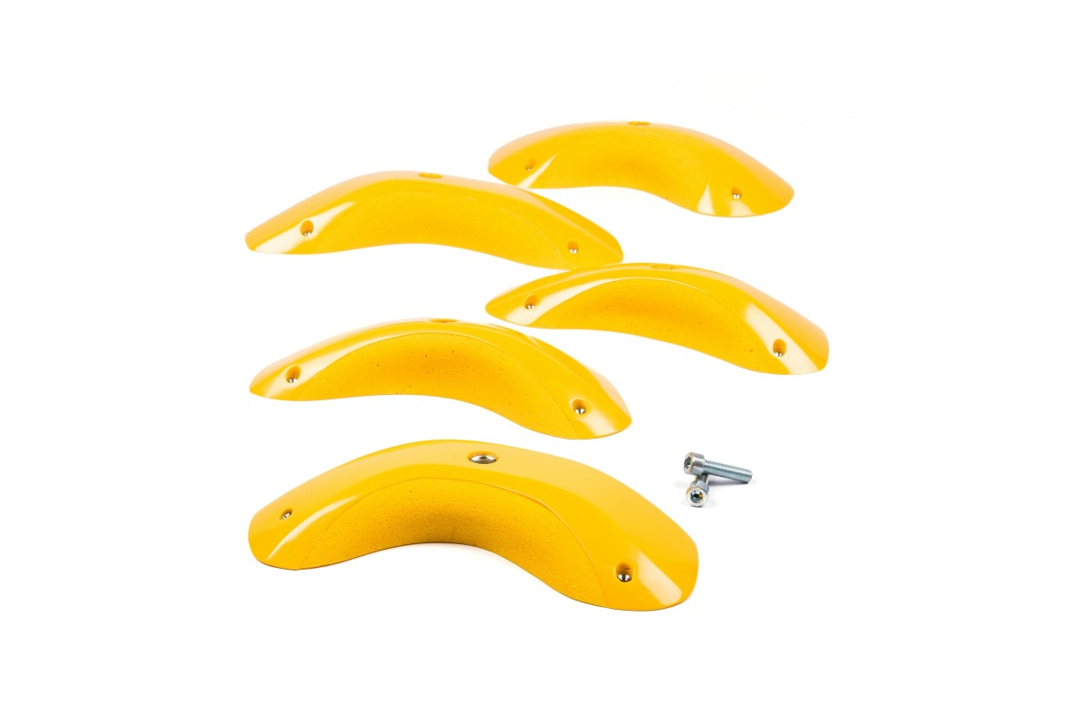 Foxes - Round Edges XL 2