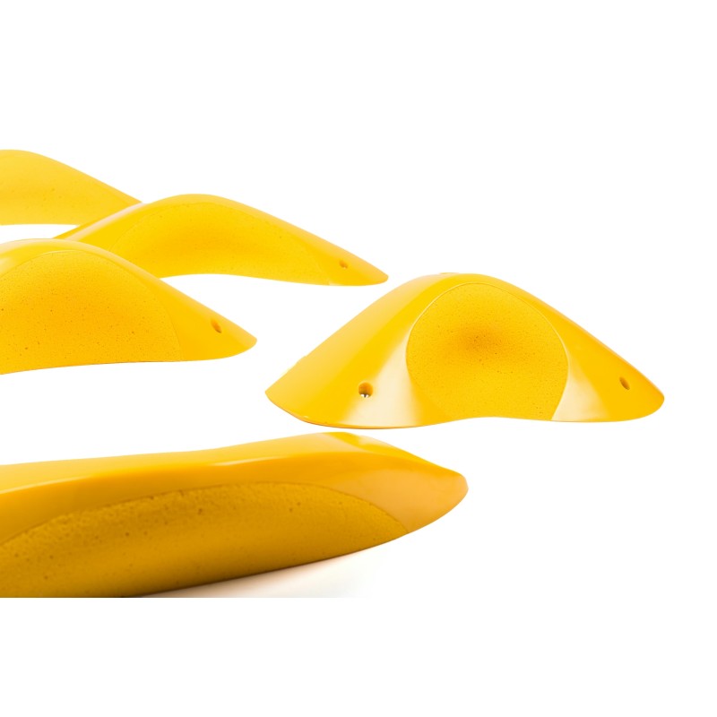 Foxes - Round Edges XXL 4