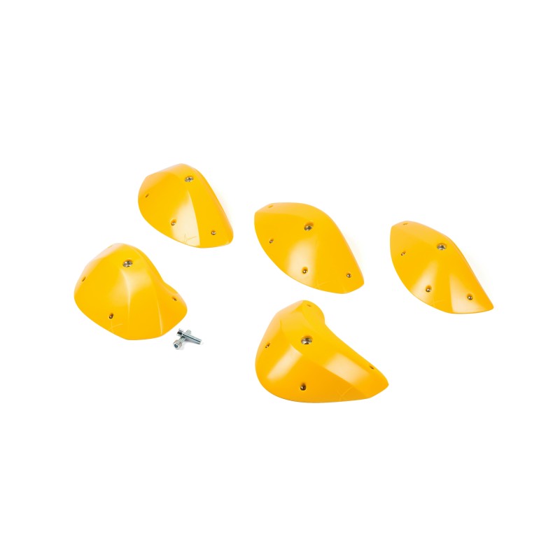 Foxes - Round Edges XXL 1