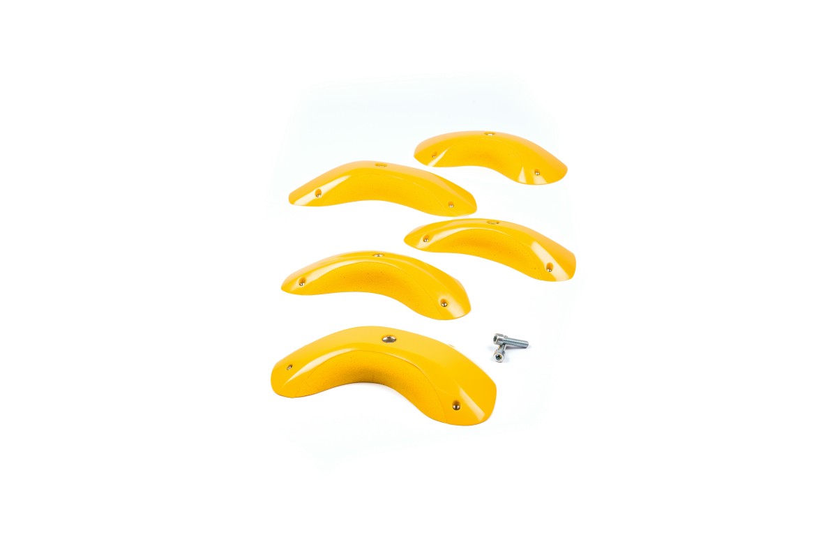 Foxes - Round Edges XL 2