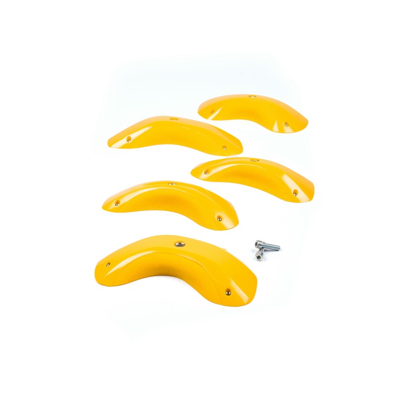 Foxes - Round Edges XL 2