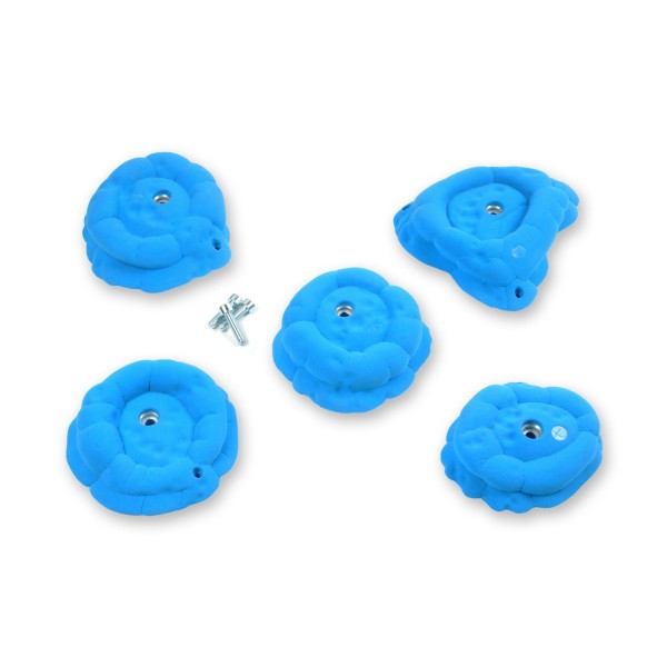 Desert Point - Flowers (PU)